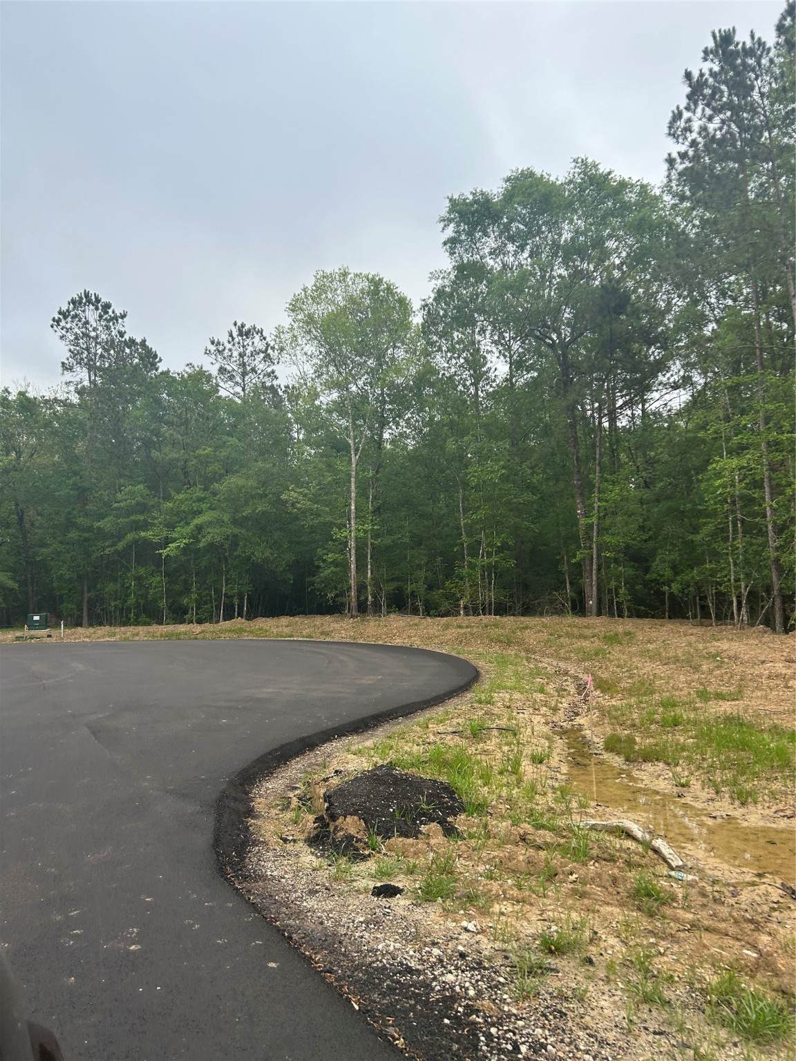 1138 County Road 6324 - Photo 1
