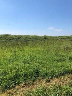 2790 Tradewind Ln Beach - Photo 1