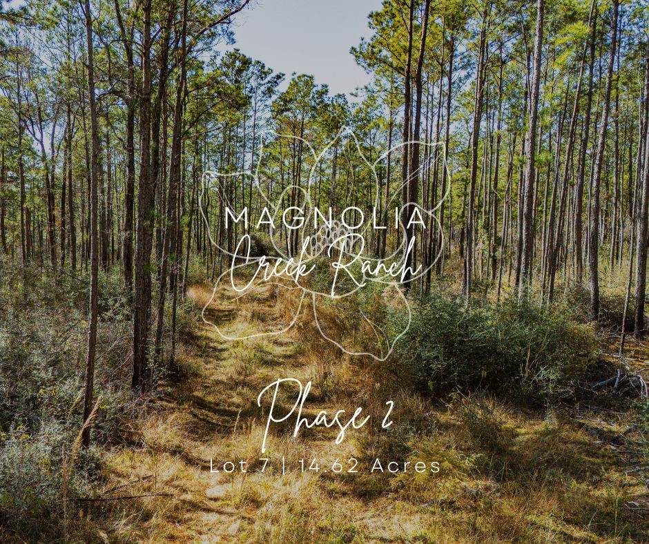 027 King Ranch Road South Road - Photo 1