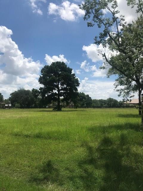 10 Texas Dandy Circle - Photo 1