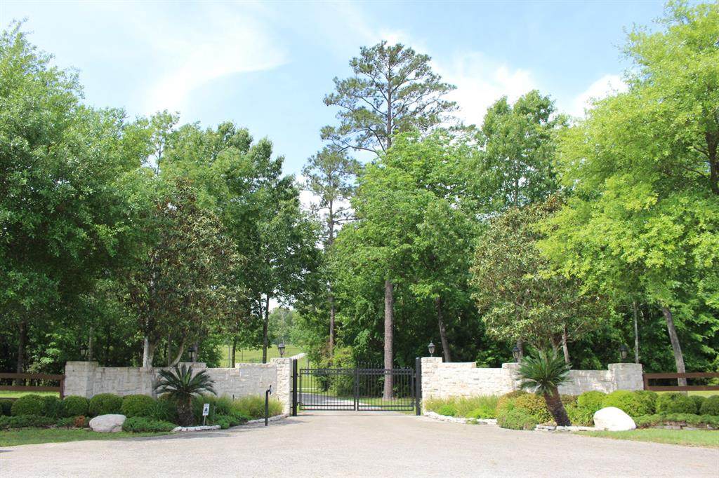 12805 Pearson Road Road - Photo 1