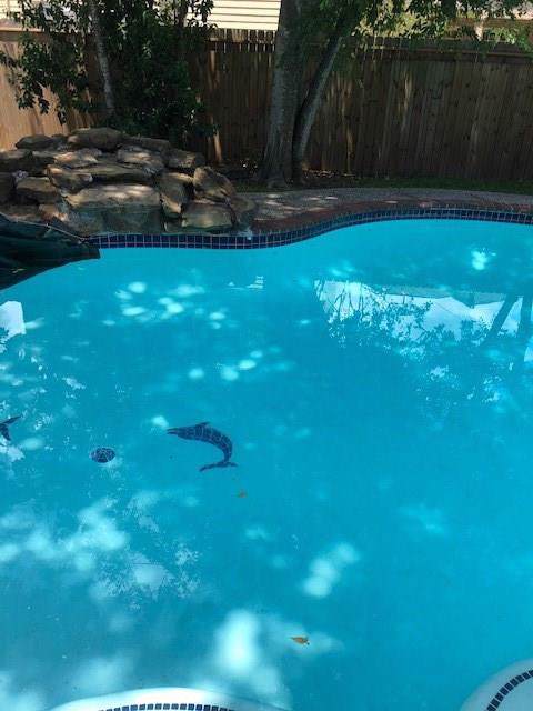 3726 Braeswood Boulevard - Photo 1