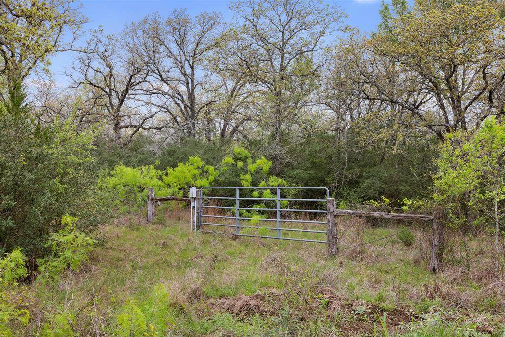 1605 Lariet Drive - Photo 1