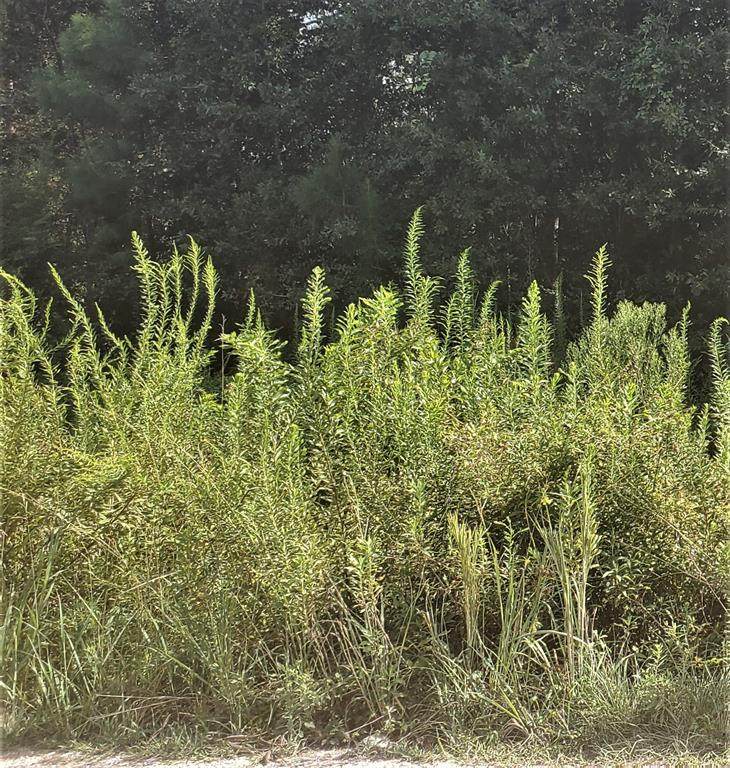25964 Essex - Photo 1