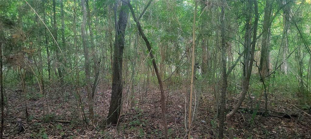 TBD Fisherman's Trail - Photo 1
