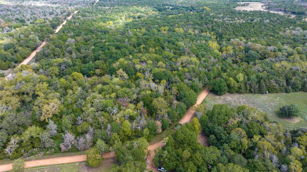 TBD Dungens Mill Rd - Photo 1
