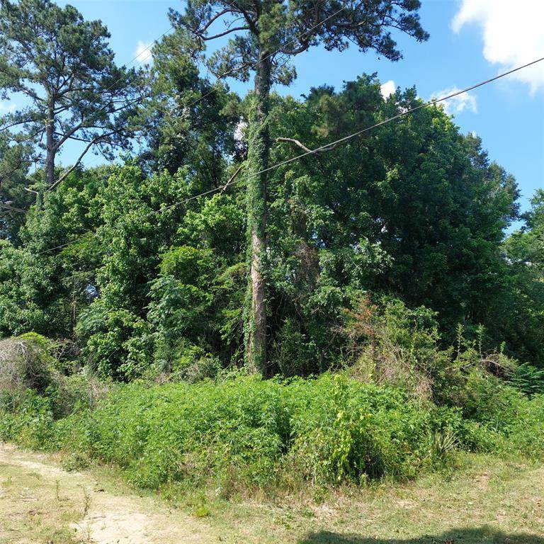 000 Mill Creek Drive - Photo 1