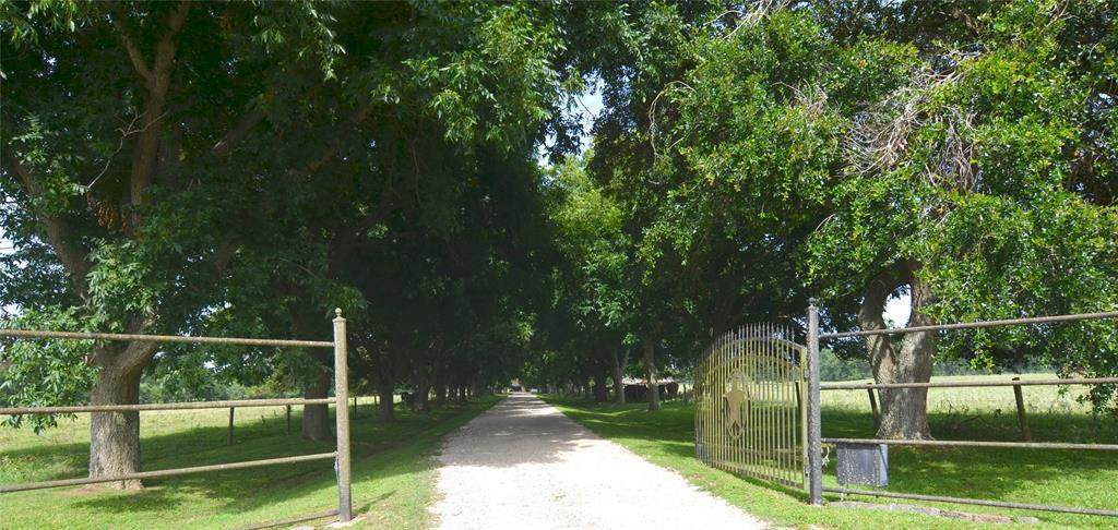 1202 Fm 359 Road - Photo 1
