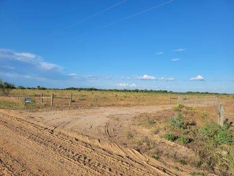 0 County Road 461 - Photo 1