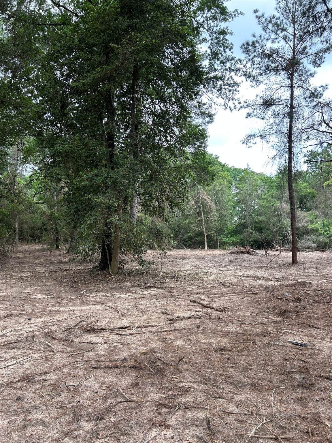 3340 County Road 325 Road - Photo 1
