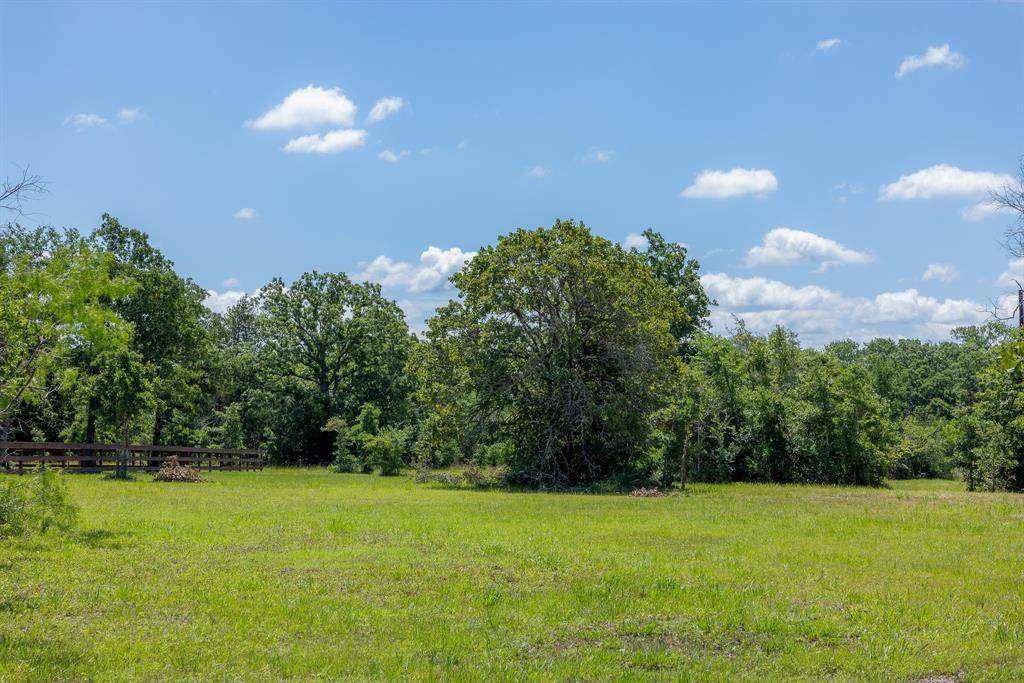 6676 Atakapan Trail - Photo 1