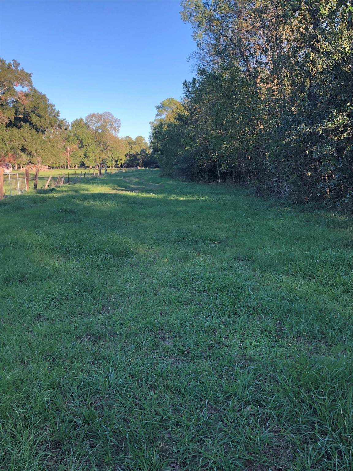 TBD Hwy 321 Highway - Photo 1