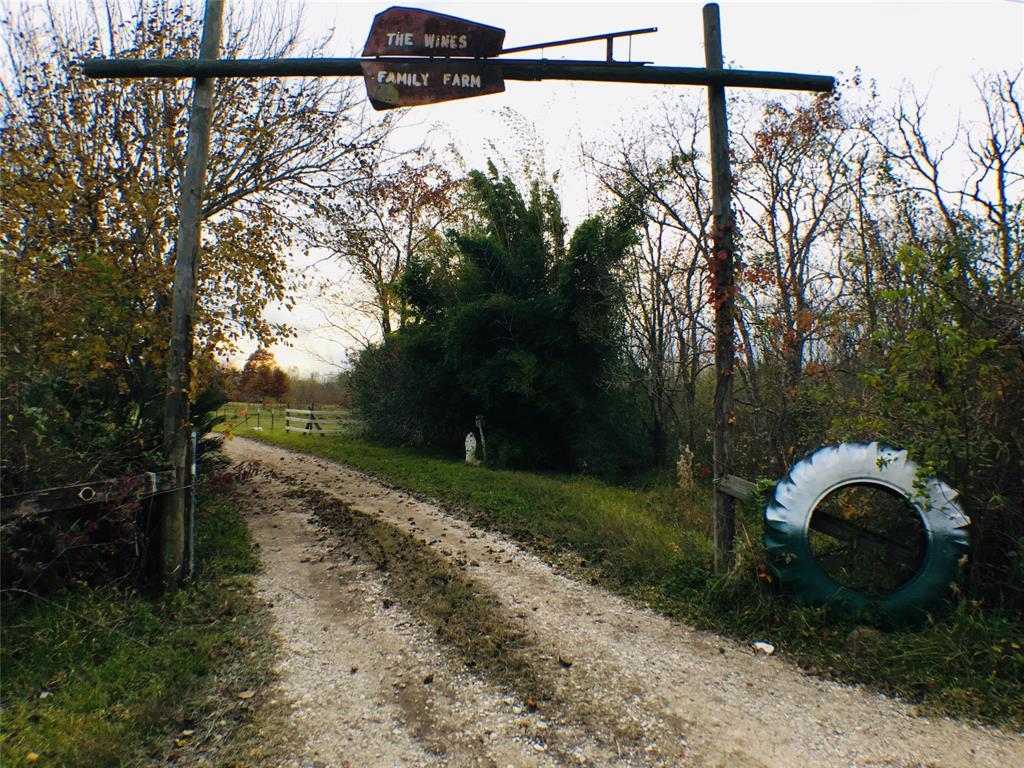 00 Santo Park Road - Photo 1