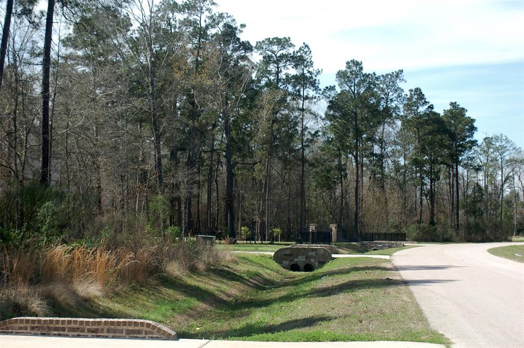 27325 Lazy Meadow Way - Photo 1