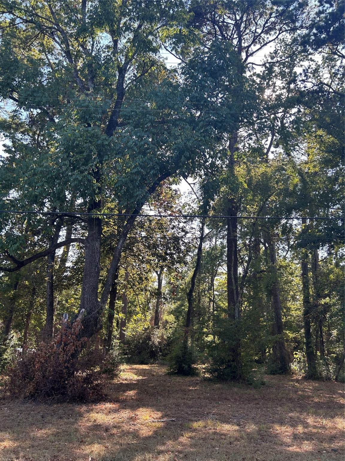 151617 Chain Rd Road - Photo 1