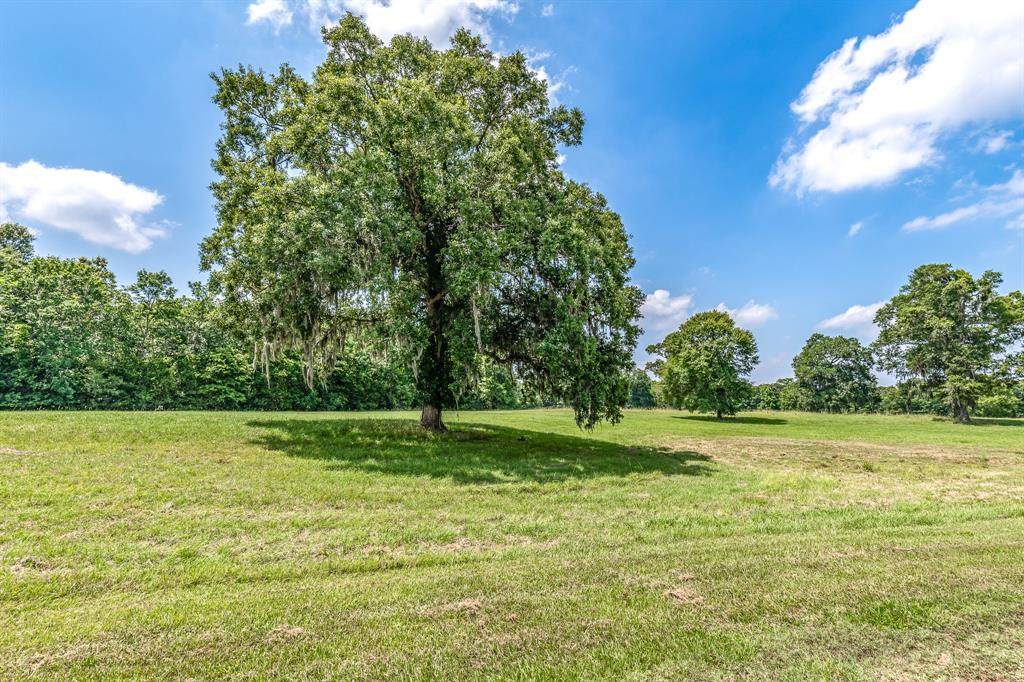 0 Miller Drive - Photo 1