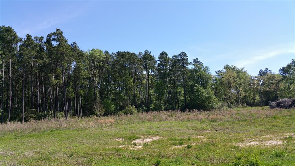 25512 Johnson Road - Photo 1