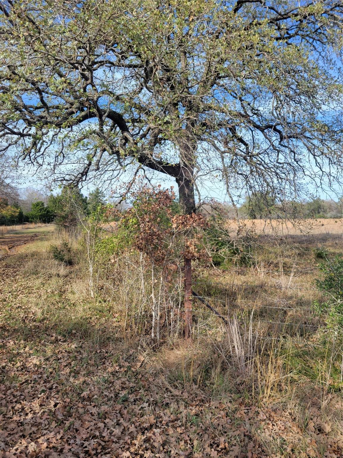 1 Navarro Lane - Photo 1