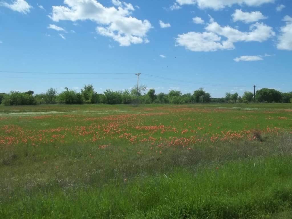 0 Lot 49 Fox Hollow Road - Photo 1