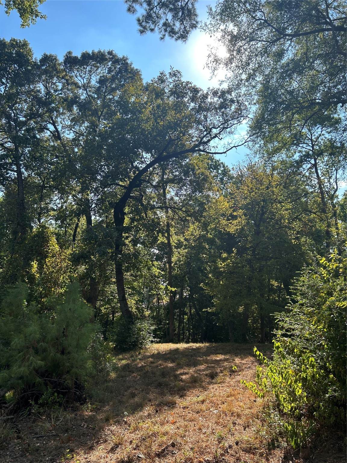TBD Tiki Trail - Photo 1