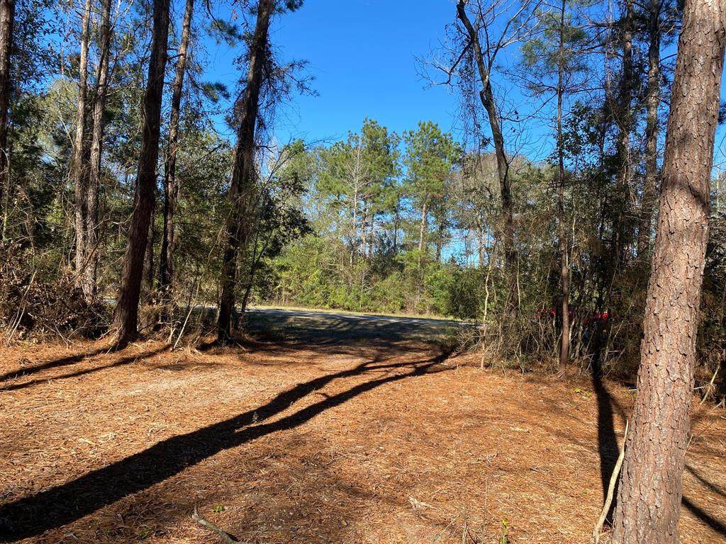 21206 Peach Wood - Photo 1