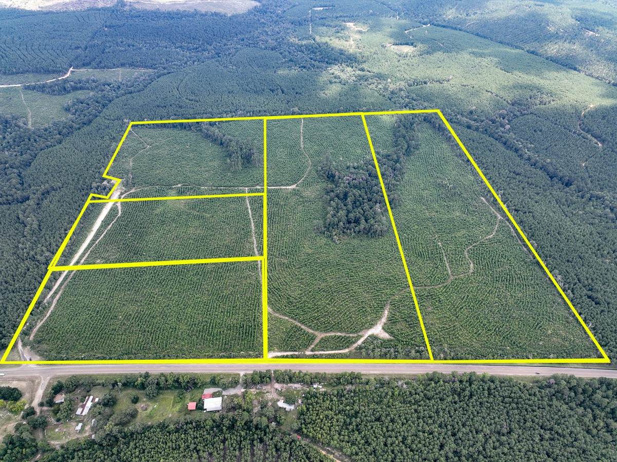 2 County Road 235 - Photo 1