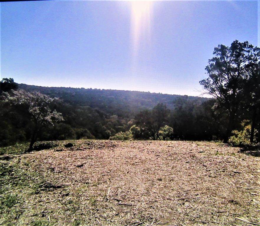 3101 Wolf Creek Ranch Road - Photo 1