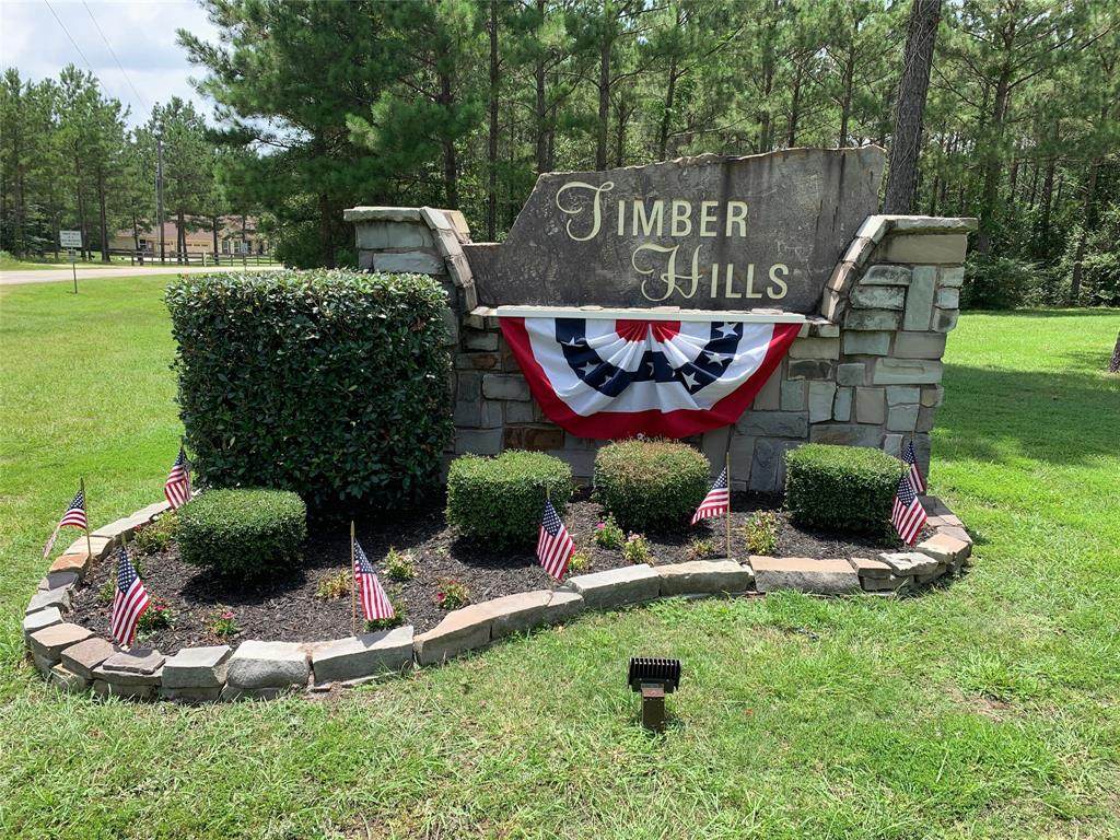 TBD Amelia Rd Drive - Photo 1