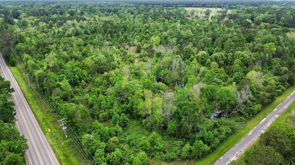 TBD Corner Of Fm 787 W/County Road 2148 - Photo 1
