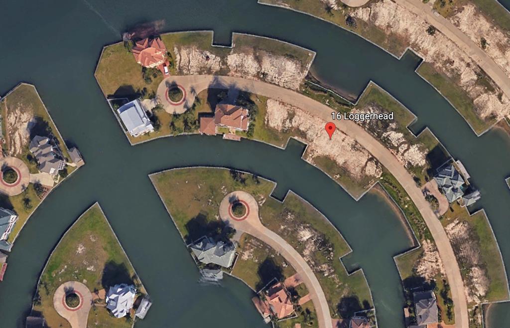 16 Loggerhead - Photo 1