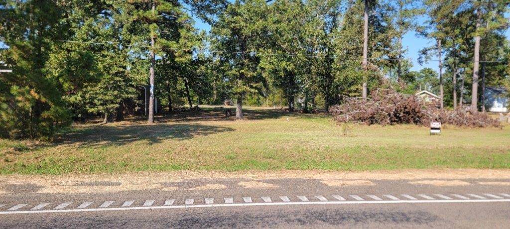 000 Palmetto Drive - Photo 1