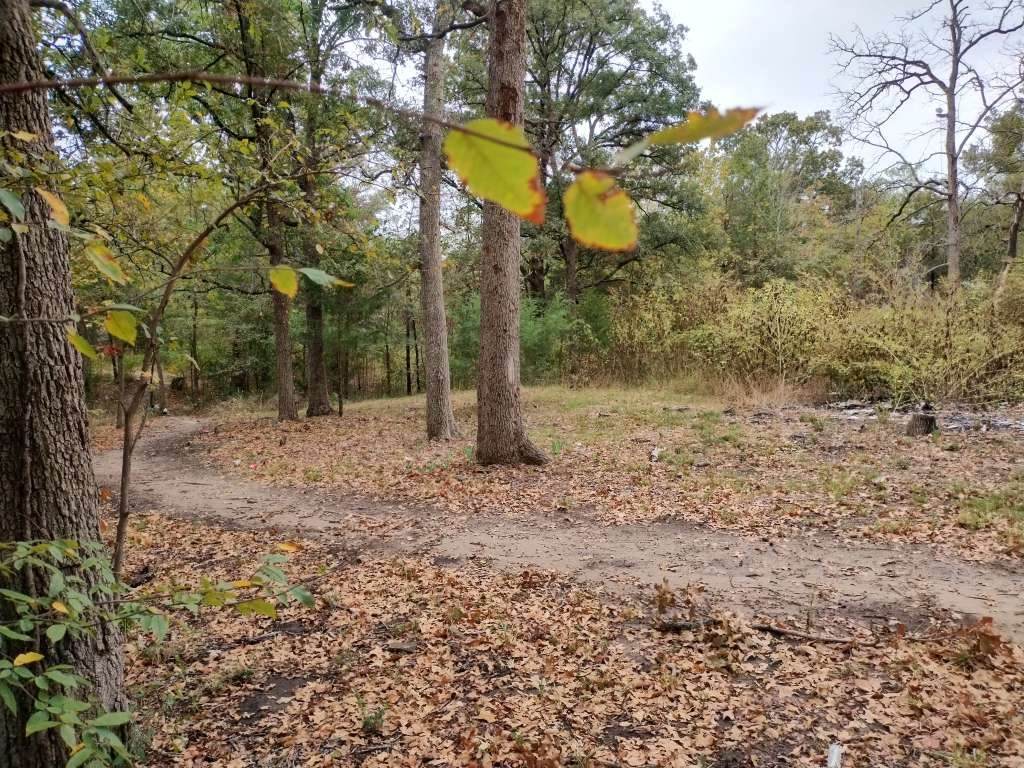 9411 Pinewood Drive - Photo 1