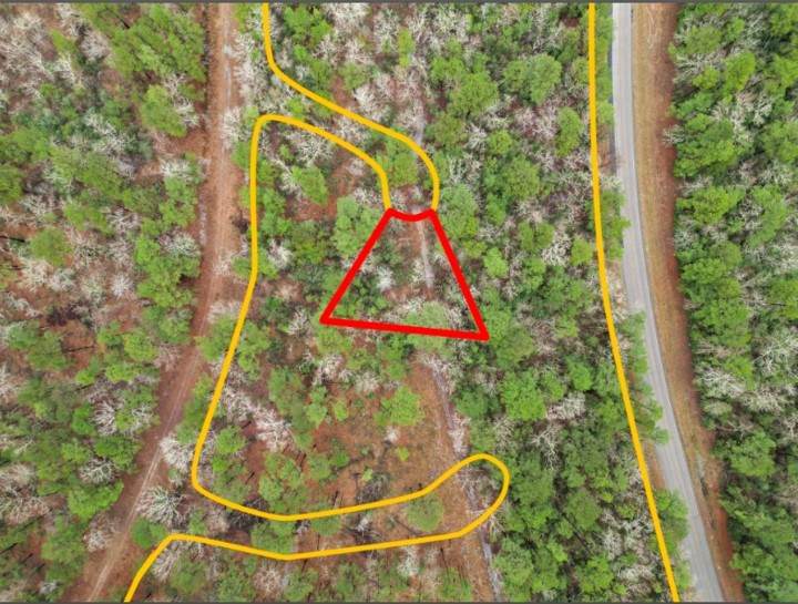 TBD Urlene Lane - Photo 1