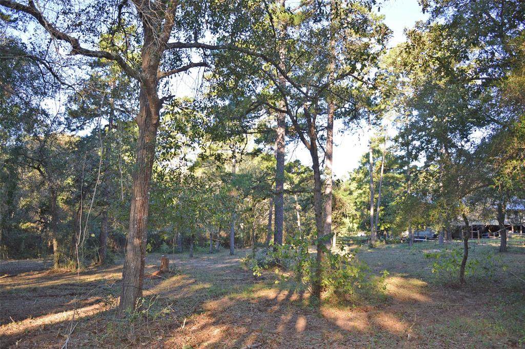 0003 Mata Rd - Photo 1