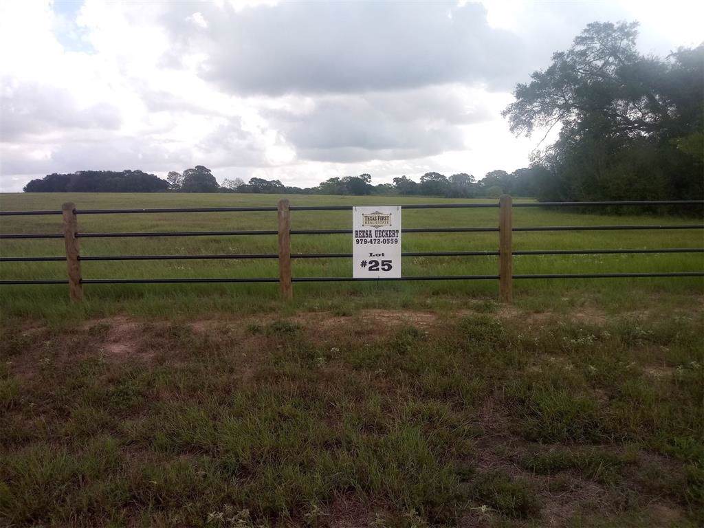 3550 Eli Road - Photo 1