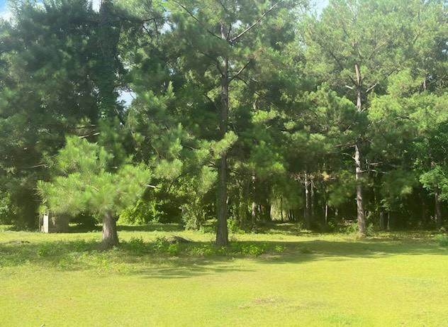 0 County Road 4067 - Photo 1