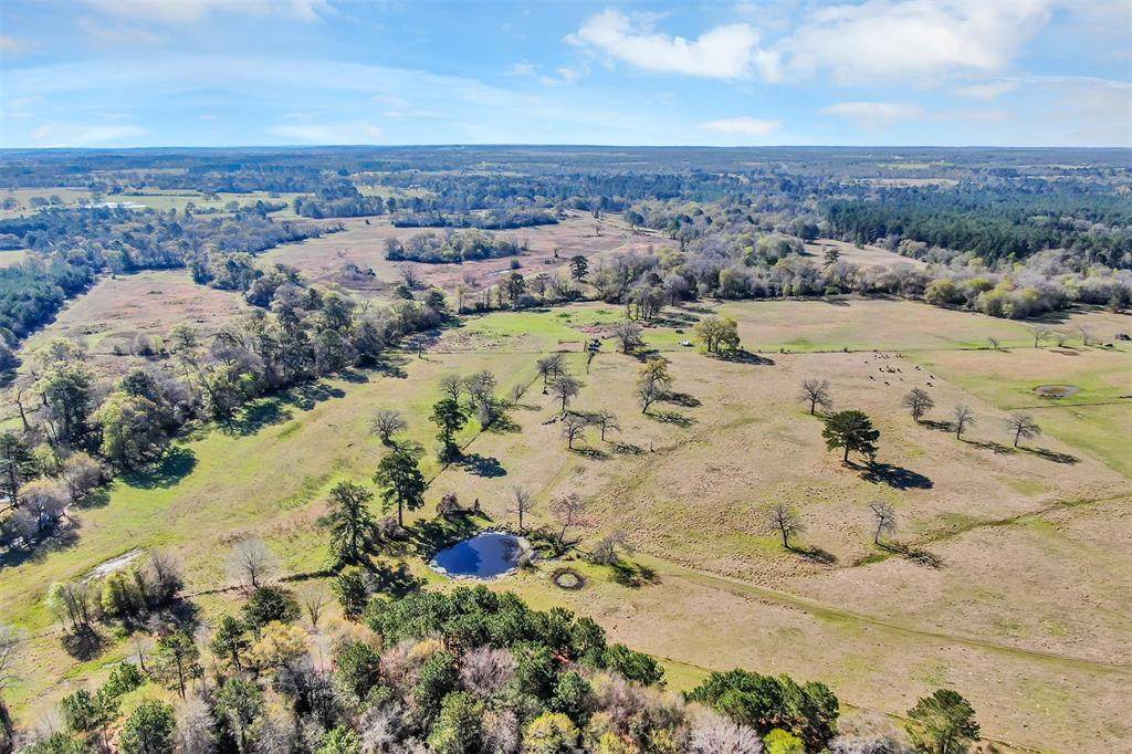 162+/- Ac. Fm 2620 - Photo 1