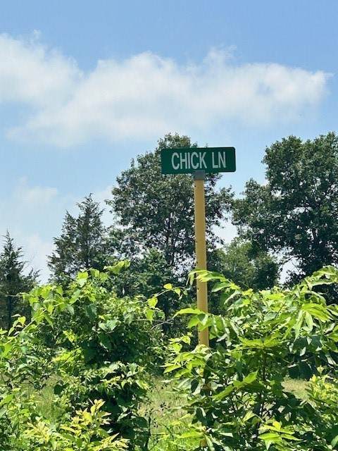 16133 Chick Lane - Photo 1