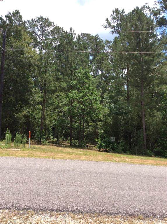 242 Texas Grand Road - Photo 1