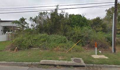 2655 Reed Road - Photo 1