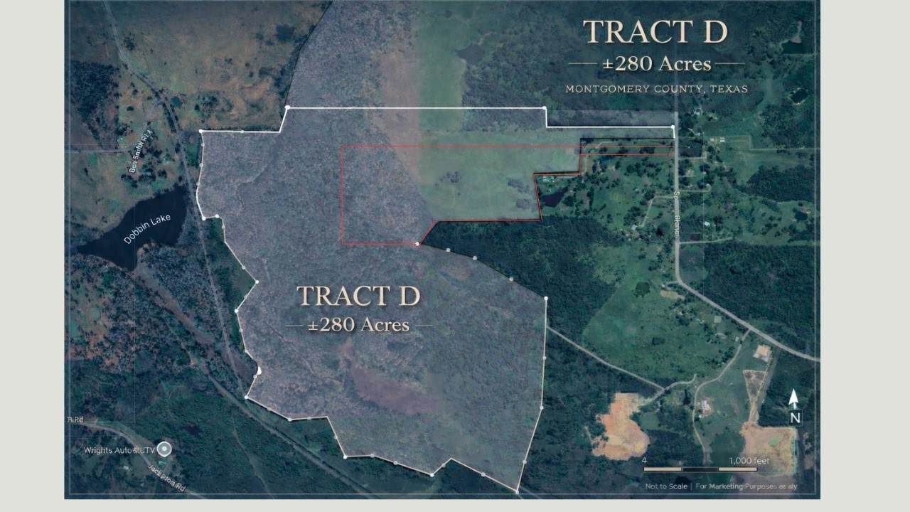 280 ACRES Spring Branch Road - Photo 1