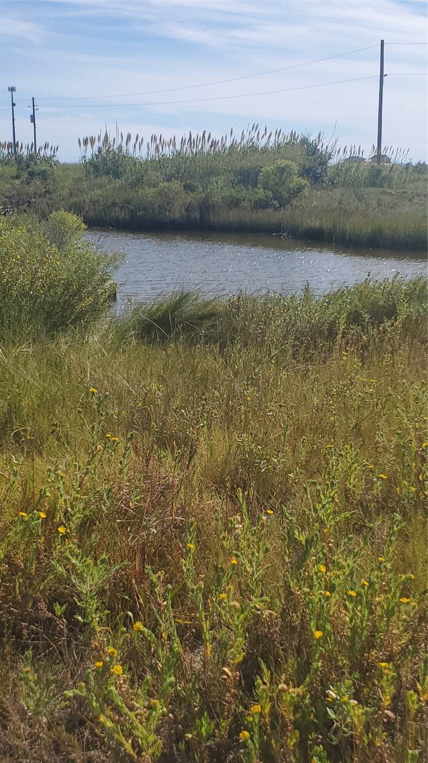 1072 4th Street - Photo 1