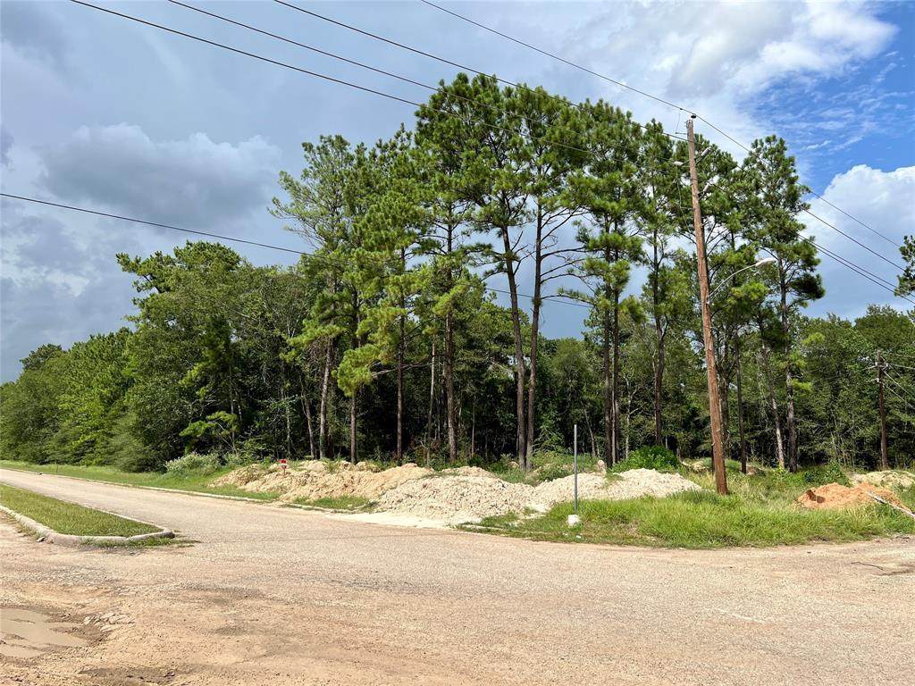 18702 Continental Parkway - Photo 1