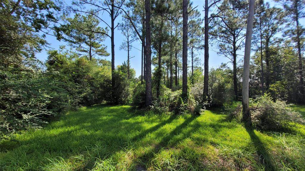 2861 Mary Lane - Photo 1