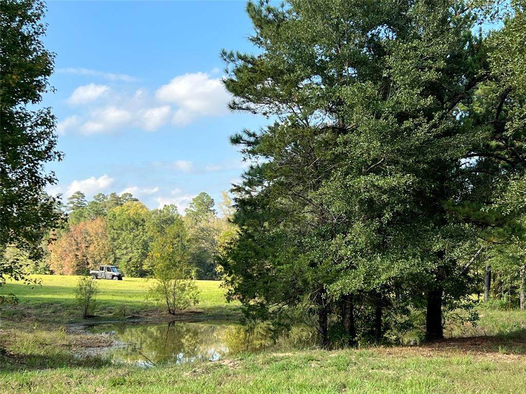 tbd 53 ac Bailey Grove Rd, - Photo 1
