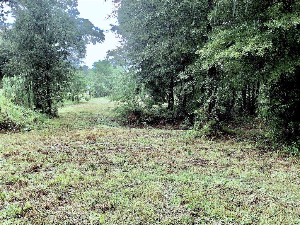 0 Creighton Road - Photo 1