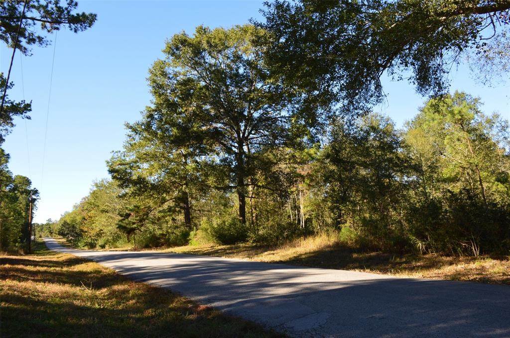 Tract #2 County Road 302 - Photo 1
