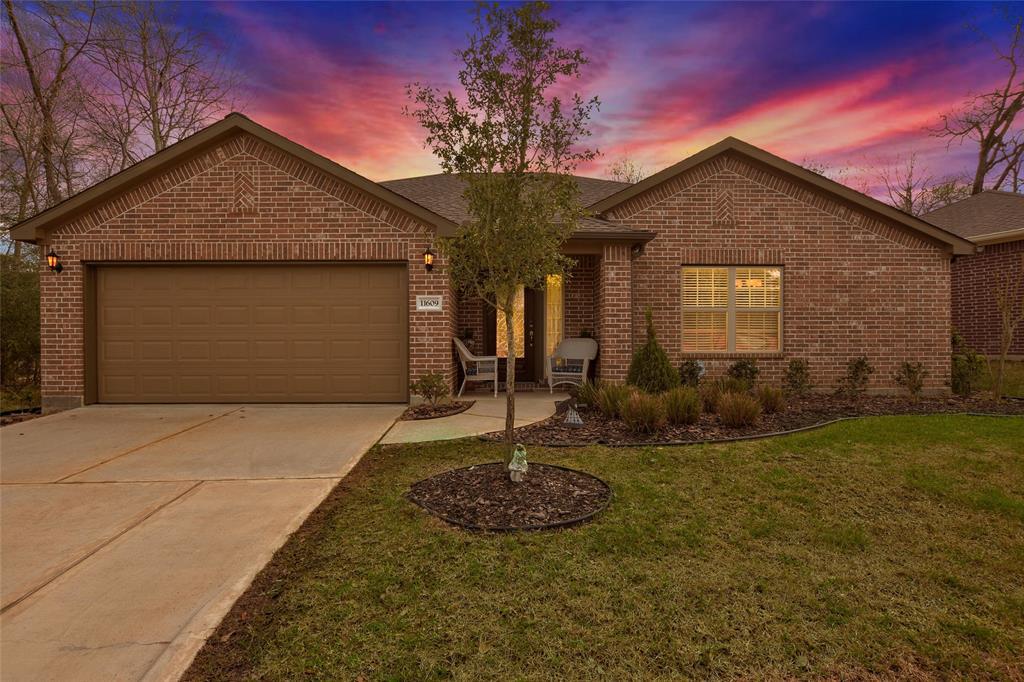 11609 Redbird Lane - Photo 1