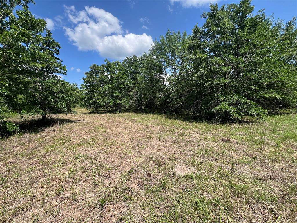 Lot #3 Cr 218 Road - Photo 1