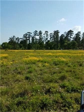 TRACT 3 Guerrant Road - Photo 1